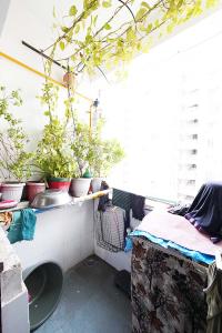 Balcony Image of 1242 Sq.ft 2 BHK Apartment / Flat for sale in Gota Ahmedabad for Rs. 6500000