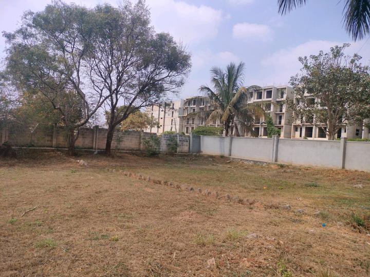 Vakil Encasa Main Image 1