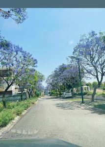 Image of 2700 Sq.ft Residential Plot / Land for sale in Emaar Mgf Developers Mohali Terraces Villa, Sector 108, Mohali for Rs. 32500000