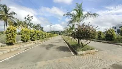 Residential Plot