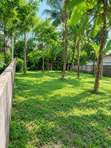 Image of 4356 Sq.ft Residential Plot / Land for sale in Pullazhi, Thrissur for Rs. 6500000