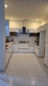 Kitchen Image of 2700 Sq.ft 2 BHK Builder Floor for rent in Sector 79 Mohali for Rs. 40000