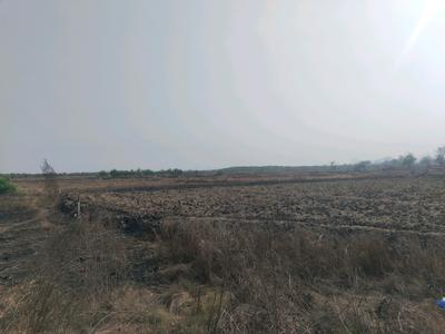 Image of 1089 Sq.ft Residential Plot / Land for sale in Punade, Raigad for Rs. 500000