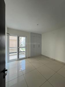 Hall Image of 835 Sq.ft 2 BHK Apartment / Flat for rent in Gillco Palms, Sector 115 Mohali for Rs. 18000