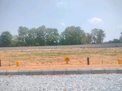 Koppa Gate Plot View 2