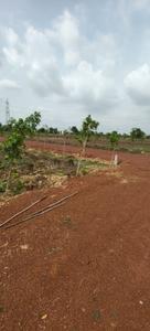 Image of 1000 Sq.ft Residential Plot / Land for sale in Urban Bloom, Changurabhata, Raipur for Rs. 3951000