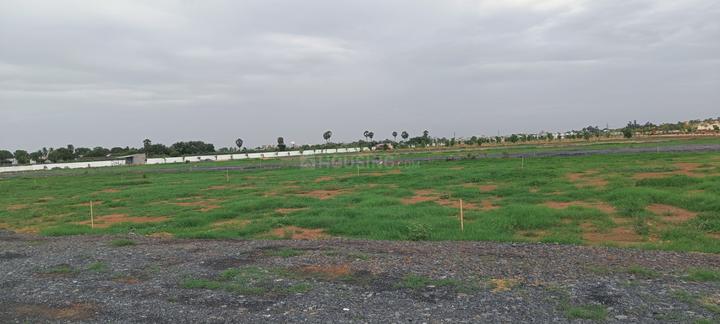 Buchireddypalem Main Image 1