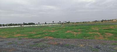 Buchireddypalem Plot View 1