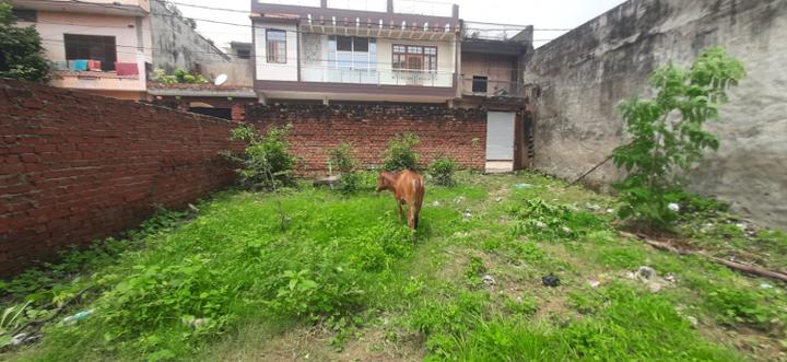 Faridi Nagar Main Image 1
