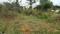 Sathgalli Main Image 1
