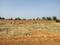 YEIDA Individual Residential Plots Main Image 1
