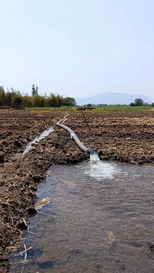 King Koti, Hyderguda More Images 1
