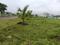 Powerland Plot View 2