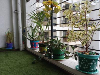 Balcony Image of 1652 Sq.ft 3 BHK Apartment / Flat for sale in Kolte Patil IVY Apartments, Wagholi Pune for Rs. 13000000
