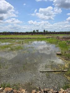 Image of 1000 Sq.ft Residential Plot / Land for sale in Karmeta, Jabalpur for Rs. 1700000