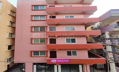 Image of colive new jersey in Arakere, Bengaluru