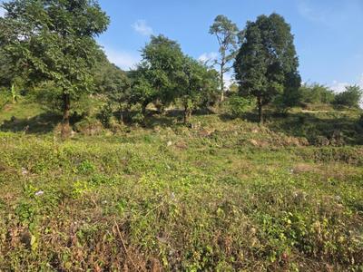 Image of 1800 Sq.ft Residential Plot / Land for sale in Kairwaan Gaon, Dehradun for Rs. 13600000