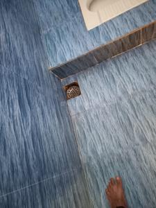 Bathroom Image of 640 Sq.ft 1 BHK Builder Floor for sale in Meerpet Hyderabad for Rs. 2800000