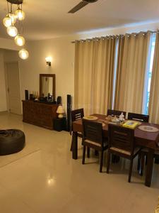 Hall Image of 1390 Sq.ft 2 BHK Apartment / Flat for rent in TARC Maceo, Sector 91 Gurgaon for Rs. 28000