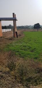 Image of 1250 Sq.ft Residential Plot / Land for sale in Ayodhya Bypass, Bhopal for Rs. 3500000