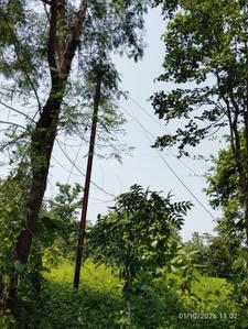 Image of 7500 Sq.ft Residential Plot / Land for sale in Sapgaon, Thane for Rs. 2200000