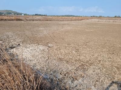 Image of 1089 Sq.ft Residential Plot / Land for sale in Hamarapur, Raigad for Rs. 255000