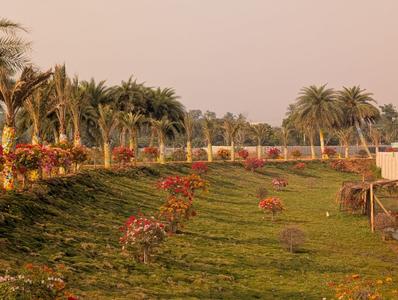 Image of 167 Sq.ft Residential Plot / Land for sale in Sarika, Vizianagaram for Rs. 3500000