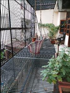 Balcony Image of Kashyap  in Sector 50, Noida