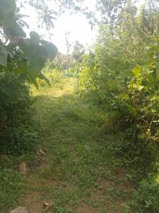 Image of 10890 Sq.ft Residential Plot / Land for sale in Killannur, Thrissur for Rs. 3125000