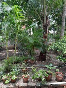 Image of 2354 Sq.ft 5 BHK Independent House for sale in Shrachi Dakshin, Pancha Sayar, Kolkata for Rs. 35000000
