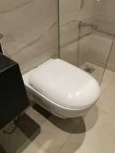 Common Bathroom Image of 2900 Sq.ft 4 BHK Apartment / Flat for sale in Rustomjee Seasons, Bandra East Mumbai for Rs. 170000000