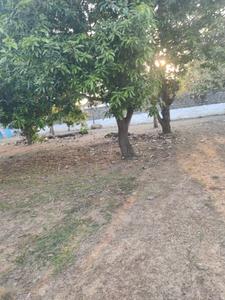 Image of 1500 Sq.ft 2 BHK Farm House for sale in Mahabalipuram, Chennai for Rs. 25000000