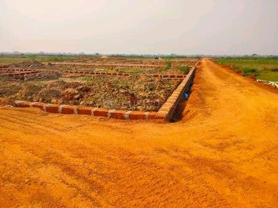 Patrapada Plot View 1
