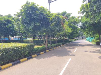Image of 538 Sq.ft Residential Plot / Land for sale in DLF Alameda, Sector 73, Gurgaon for Rs. 177600000