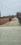 Ramanagr Plot View 3
