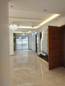 Hall Image of 1650 Sq.ft 3 BHK Builder Floor for sale in Palam Vihar Extension Gurgaon for Rs. 27500000