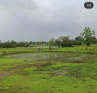 Image of 59895 Sq.ft Residential Plot / Land for sale in Murbad, Thane for Rs. 9350000