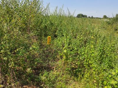 Image of 167 Sq.ft Residential Plot / Land for sale in Medchal, Secunderabad for Rs. 5400000