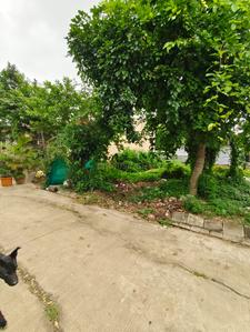 Image of 1800 Sq.ft Residential Plot / Land for sale in Nipania, Indore for Rs. 18000000