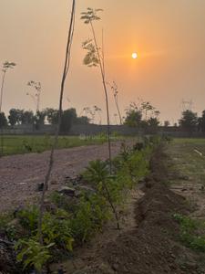 Image of 1200 Sq.ft Residential Plot / Land for sale in Sector 36, Sohna for Rs. 21000000