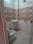 Bathroom Image of Seema girls pg in Muthi Ganj, Allahabad
