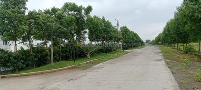 Image of 720 Sq.ft Residential Plot / Land for sale in Sanwer, Indore for Rs. 2538000