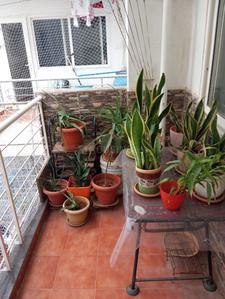 Balcony Image of 1092 Sq.ft 2 BHK Apartment / Flat for sale in Sarjapur Bengaluru for Rs. 16000000