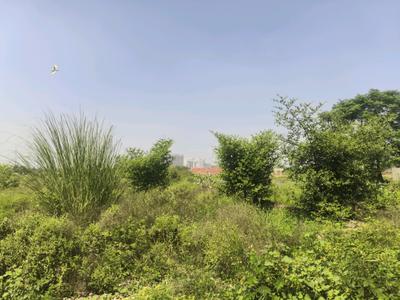 Image of 900 Sq.ft Residential Plot / Land for sale in Bhanauta, Greater Noida for Rs. 3498400