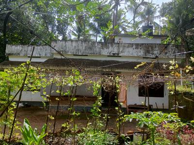 Image of 1450 Sq.ft 3 BHK Independent House for sale in Chirayinkeezhu, Thiruvananthapuram for Rs. 2900000