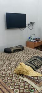 Bedroom Image of 450 Sq.ft 1.5 BHK Independent House for rent in Makadwali Ajmer for Rs. 10000