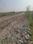 Metroplex City Internal Roads 2