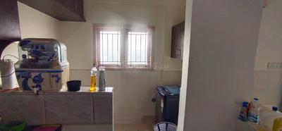 Bathroom Image of 1415 Sq.ft 3 BHK Apartment / Flat for rent in Peony United Daffodils, Mahadevapura Bengaluru for Rs. 50000