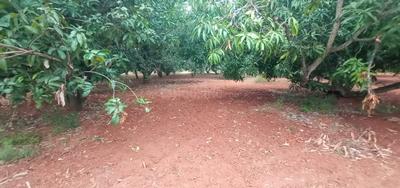 Image of 12905 Sq.ft Residential Plot / Land for sale in Melur, Madurai for Rs. 2475000