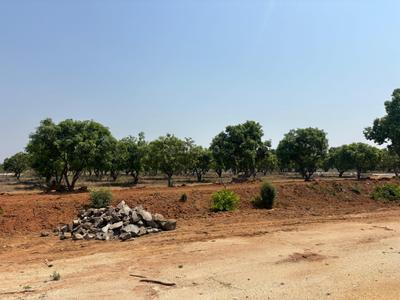 Image of 7079 Sq.ft Residential Plot / Land for sale in Kolar Town, Kolar for Rs. 4247400
